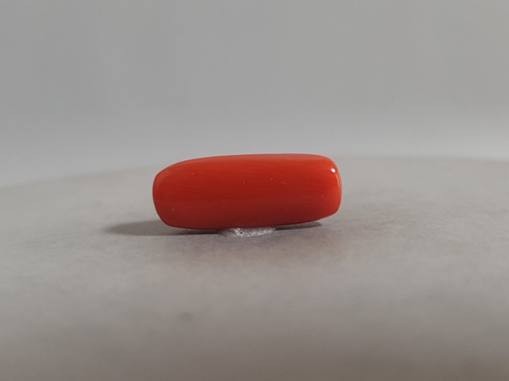 NATURAL CORAL - 5.85CT