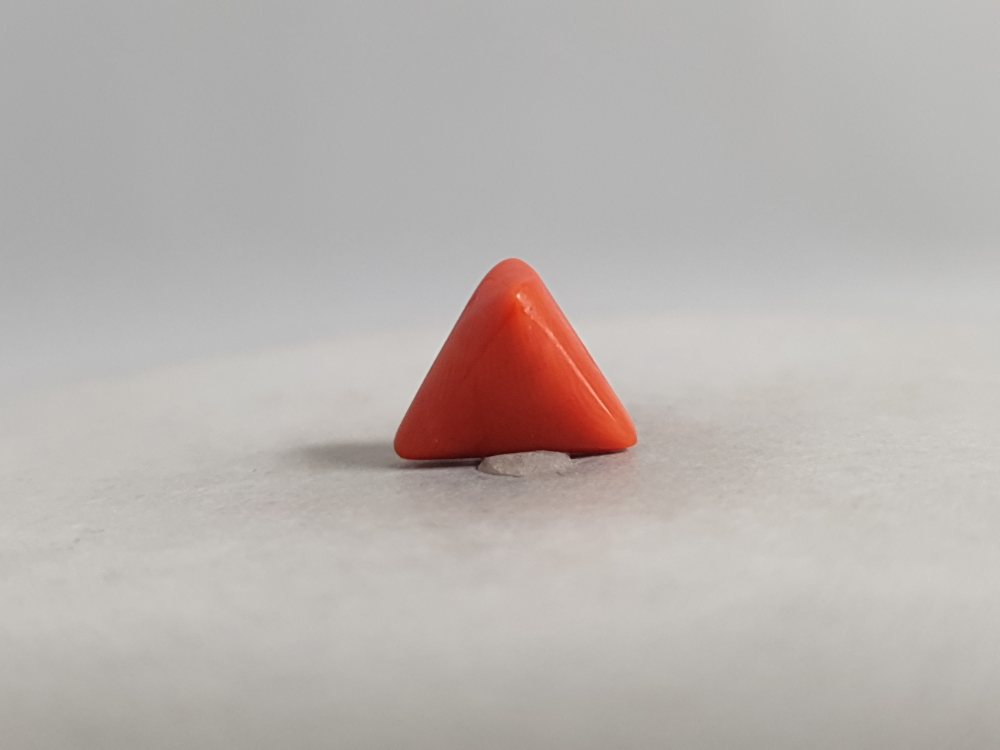 ITALIAN CORAL