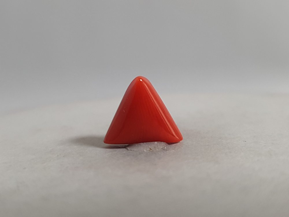 ITALIAN CORAL