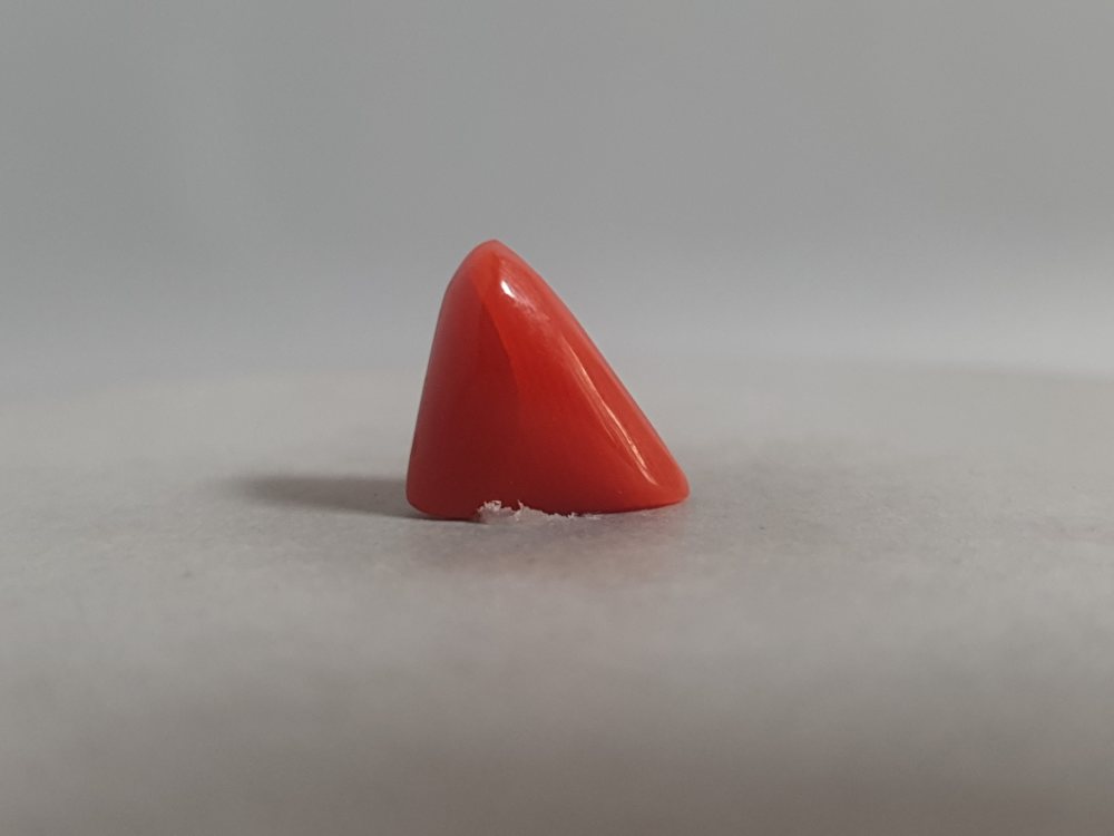 ITALIAN CORAL