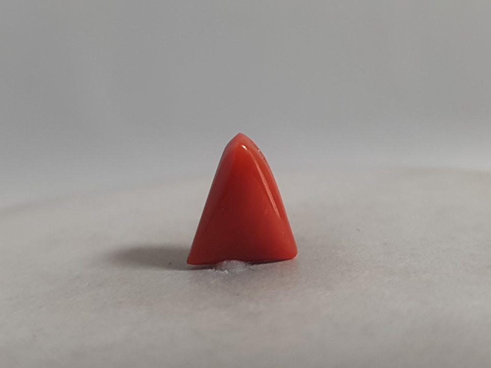 NATURAL CORAL (MUNGA) - 4.24CT