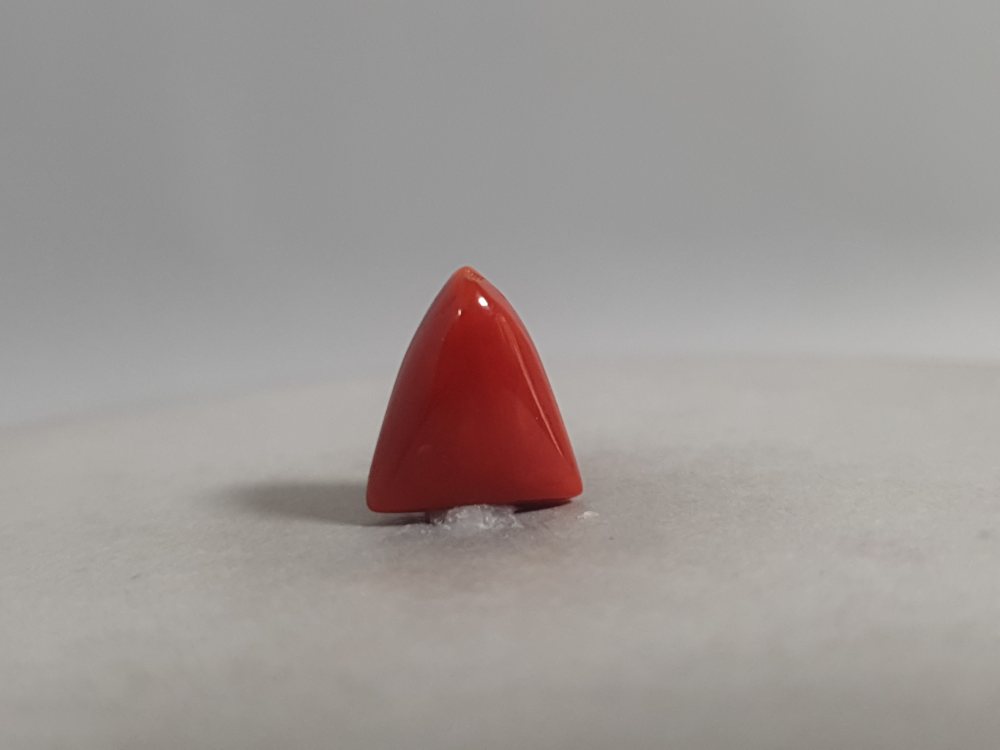 NATURAL CORAL (MUNGA) - 4.63CT