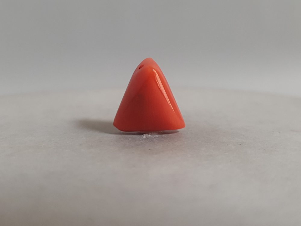 NATURAL CORAL (MUNGA) - 5.03CT