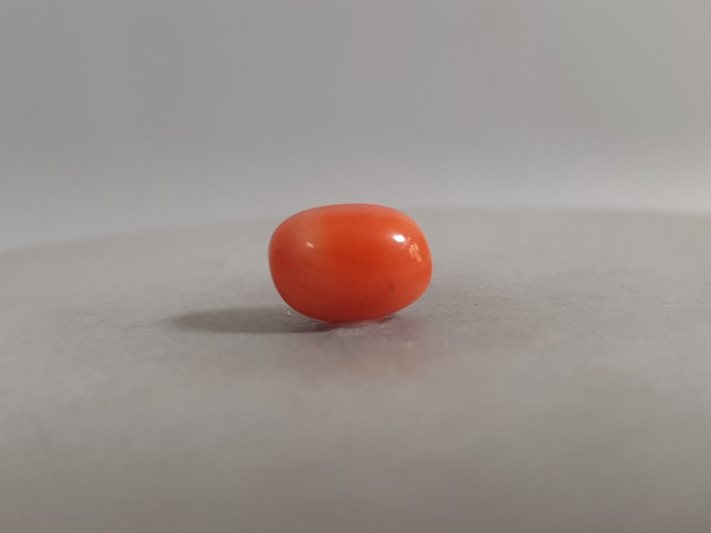 ITALIAN CORAL