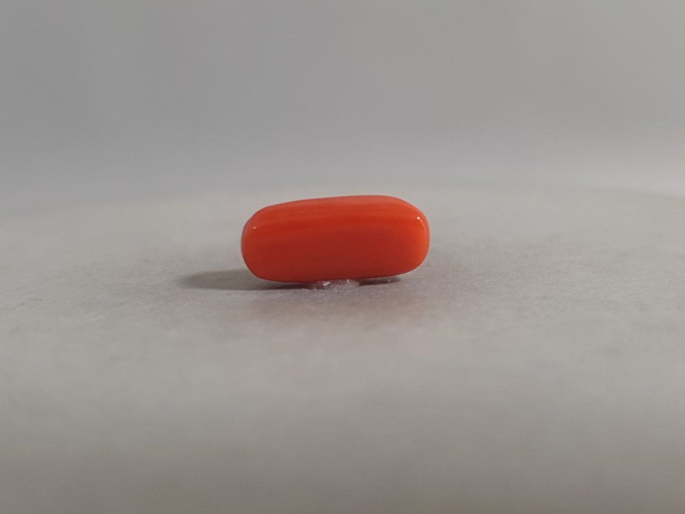 NATURAL CORAL (MUNGA) - 3.16CT