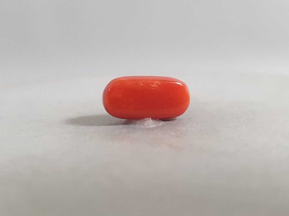 NATURAL CORAL (MUNGA) - 3.18CT