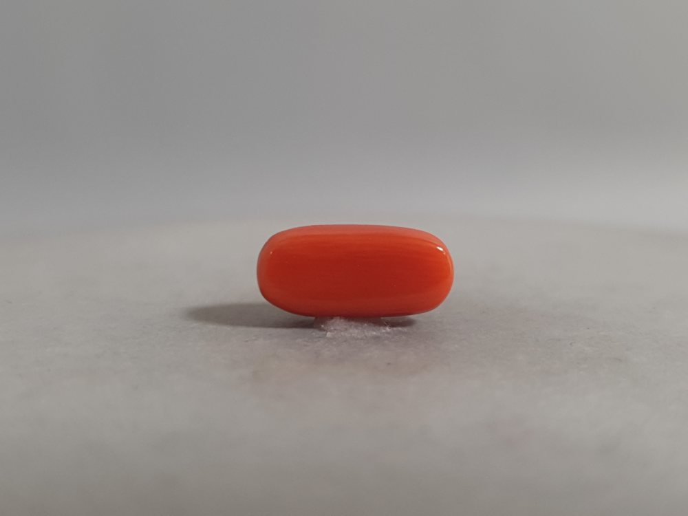 NATURAL CORAL (MUNGA) - 3.23CT
