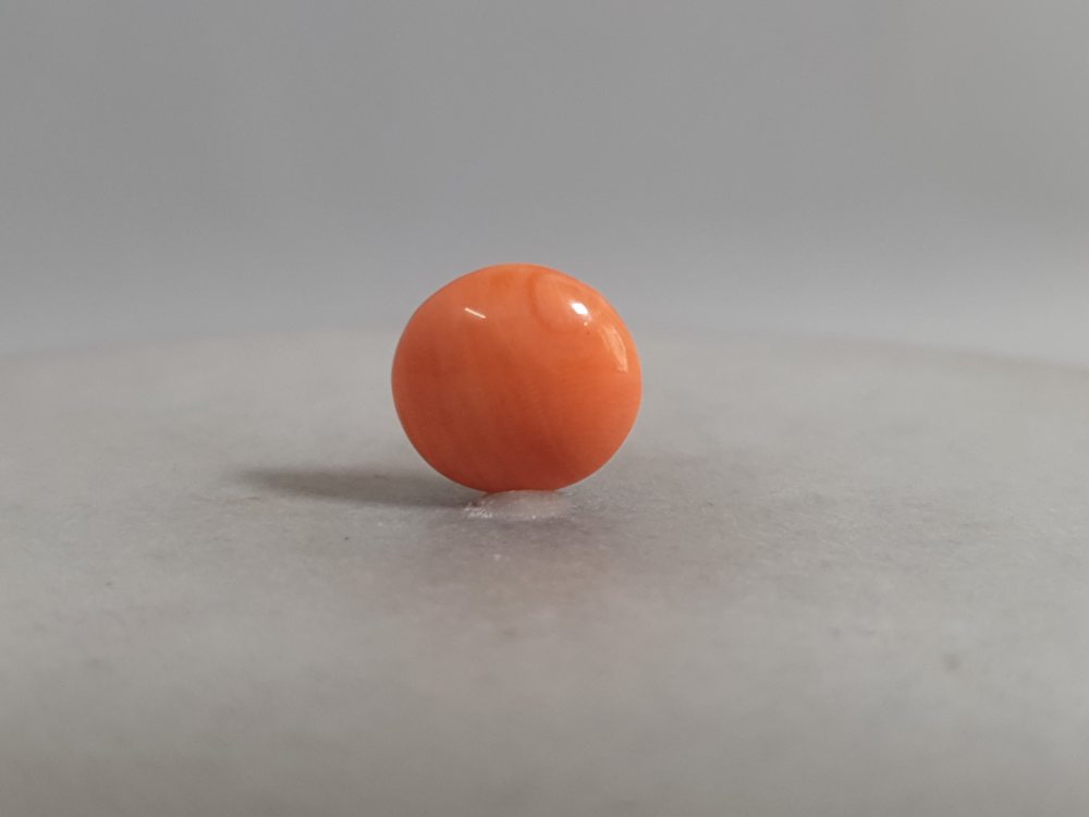 NATURAL CORAL (MUNGA) - 3.35CT