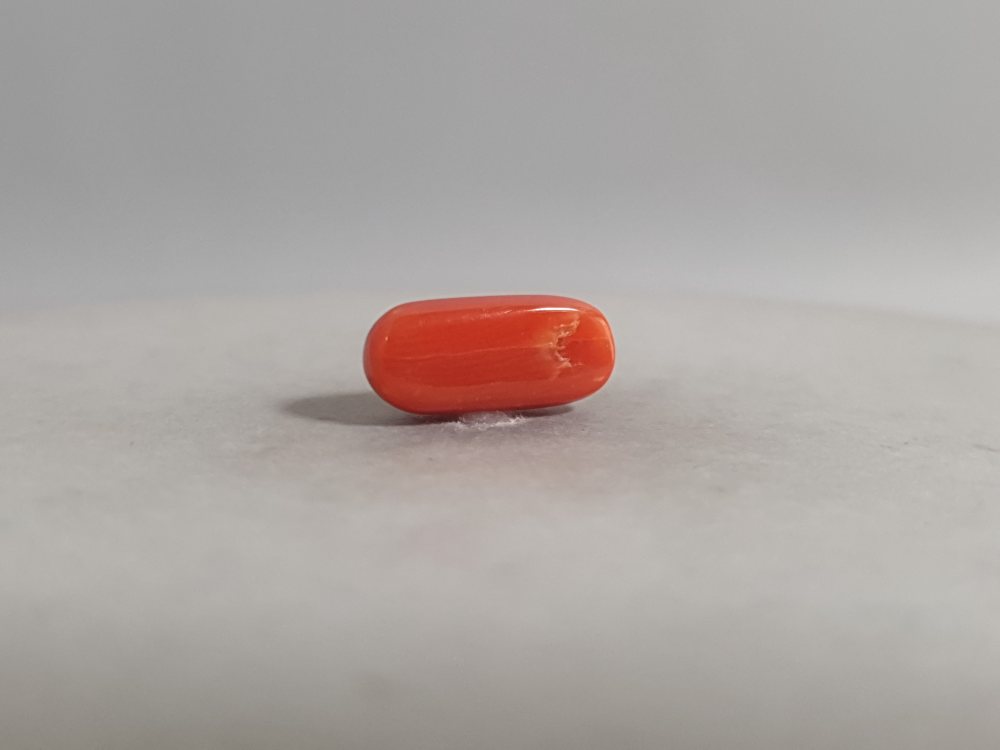 NATURAL CORAL (MUNGA) - 3.41CT