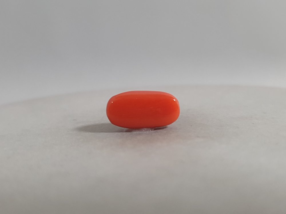 NATURAL CORAL (MUNGA) - 3.42CT