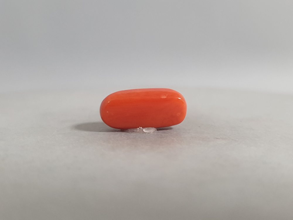 NATURAL CORAL (MUNGA) - 3.62CT