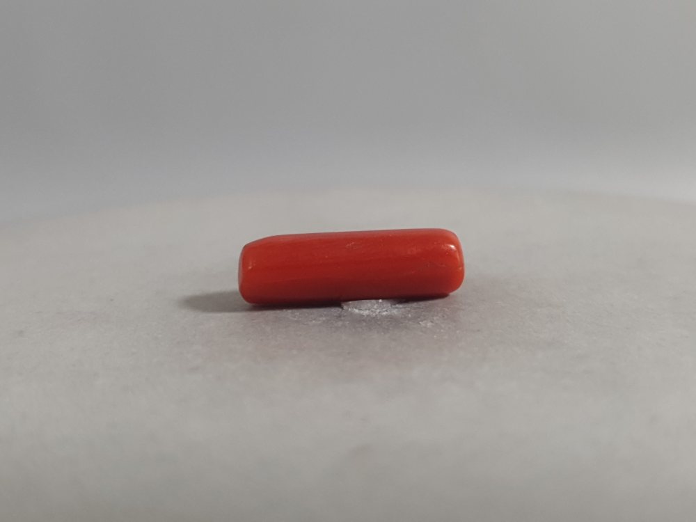 NATURAL CORAL (MUNGA) - 3.72CT