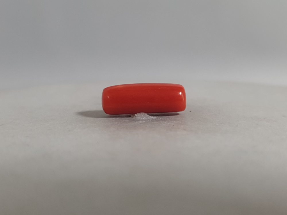 NATURAL CORAL (MUNGA) - 3.79CT