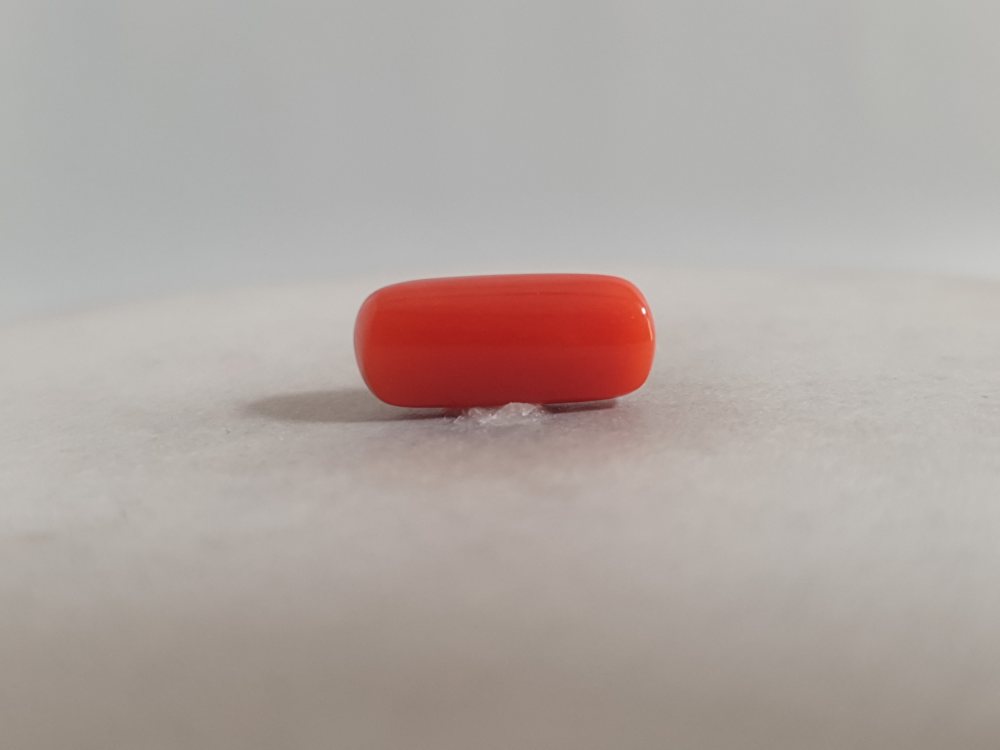 NATURAL CORAL (MUNGA) - 4.07CT