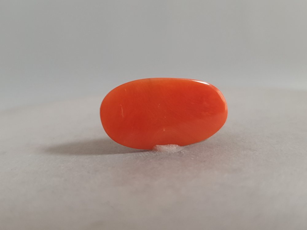 ITALIAN CORAL