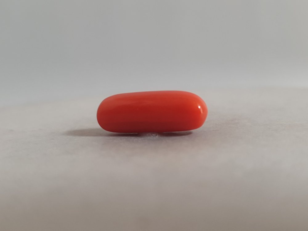 NATURAL CORAL (MUNGA) - 4.33CT