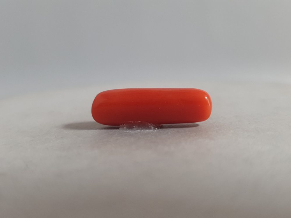 NATURAL CORAL (MUNGA) - 4.4CT