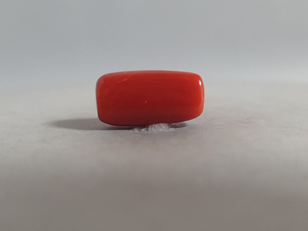 NATURAL CORAL (MUNGA) - 4.46CT