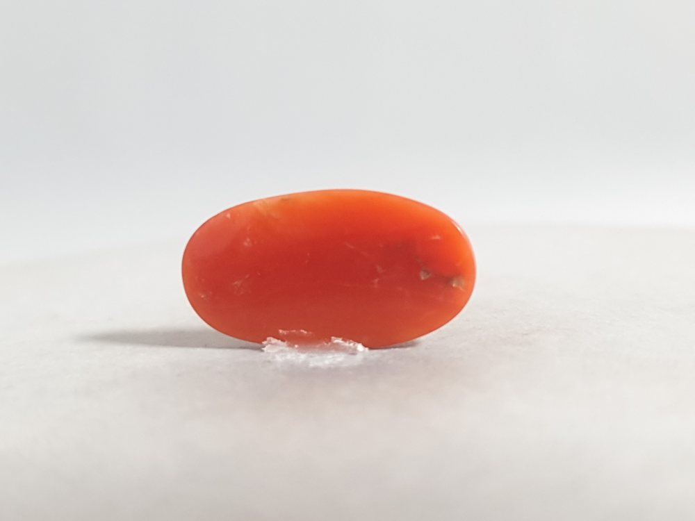 ITALIAN CORAL