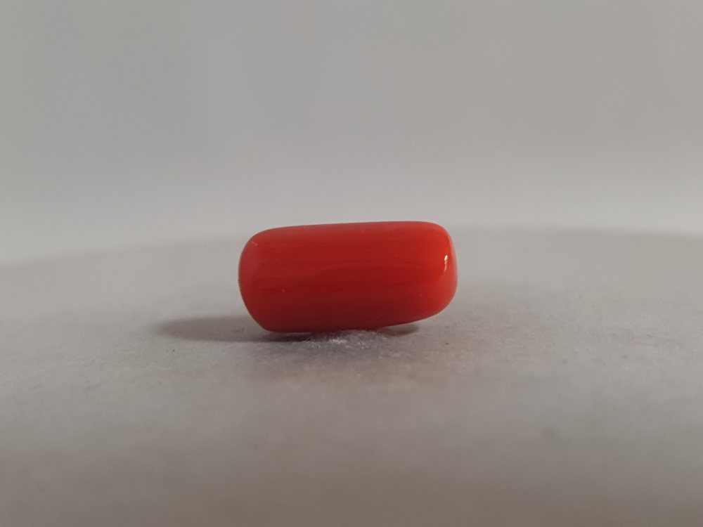 ITALIAN CORAL