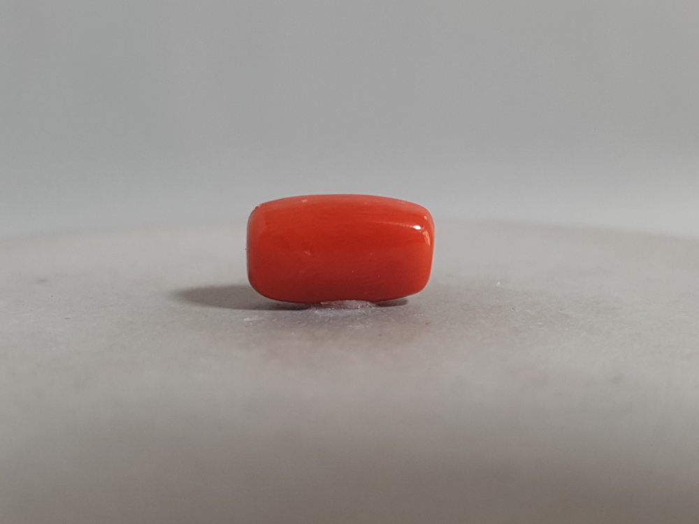 NATURAL CORAL (MUNGA) - 5.91CT