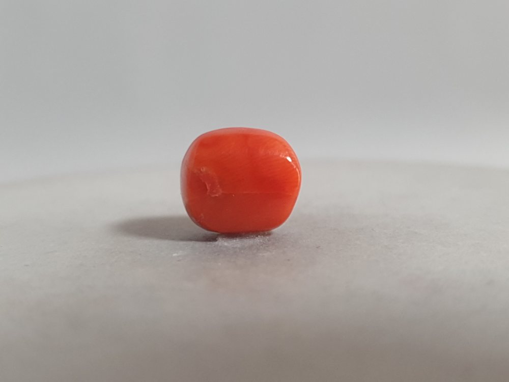 NATURAL CORAL (MUNGA) - 5.95CT