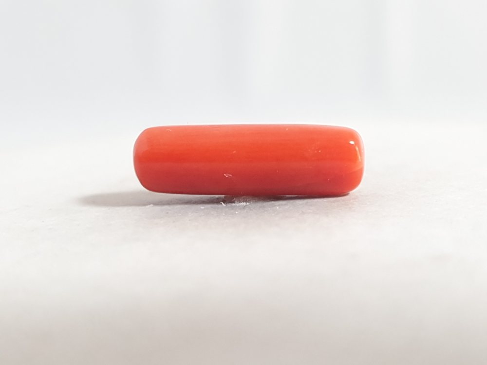 NATURAL CORAL (MUNGA) - 6.57CT