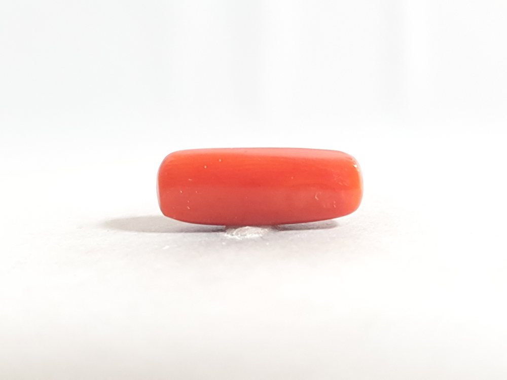 NATURAL CORAL (MUNGA) - 6.65CT