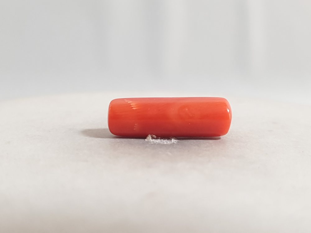 NATURAL CORAL (MUNGA) - 6.8CT