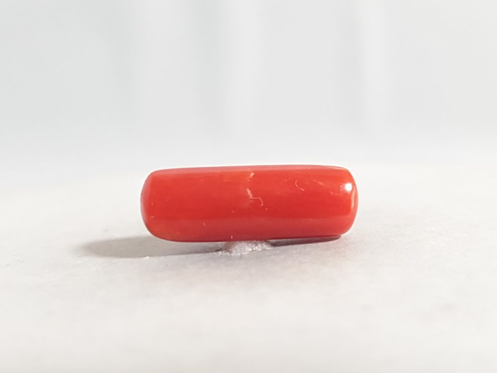 NATURAL CORAL (MUNGA) - 6.83CT
