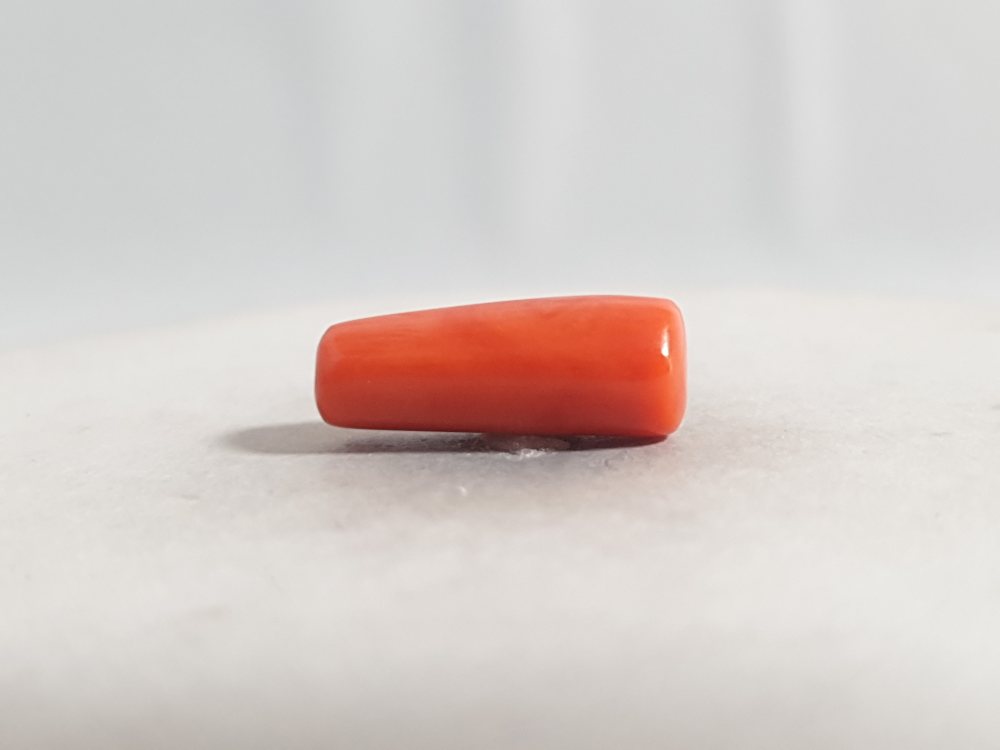 NATURAL CORAL (MUNGA) - 7.04CT