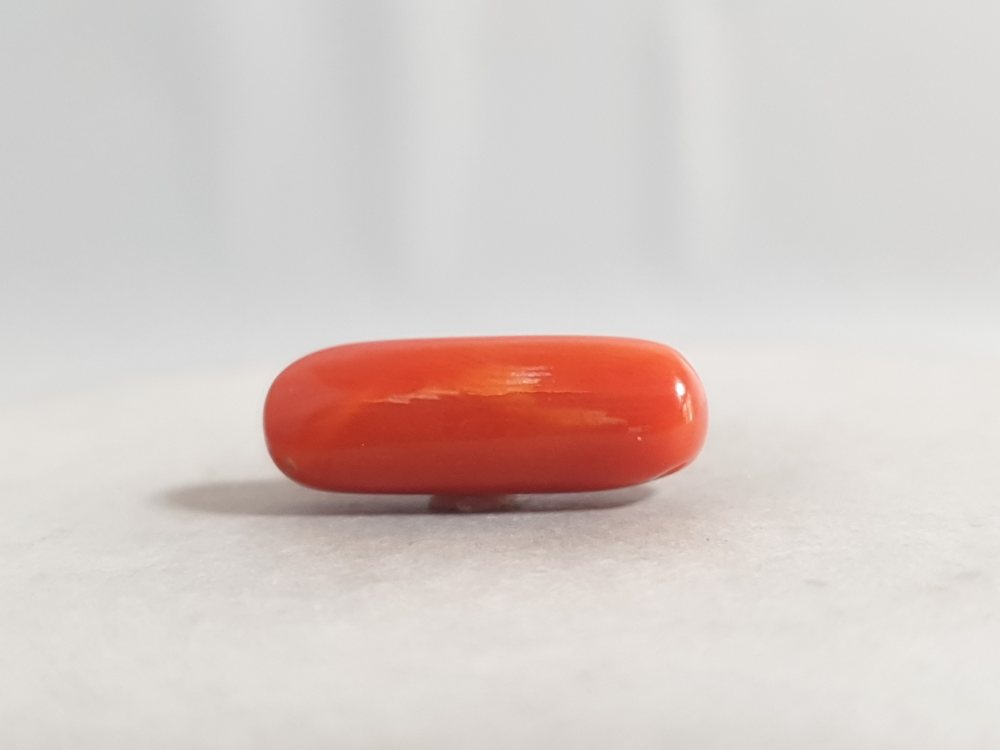 NATURAL CORAL (MUNGA) - 7.81CT