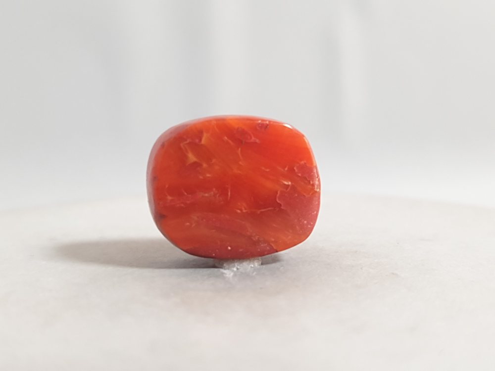 ITALIAN CORAL