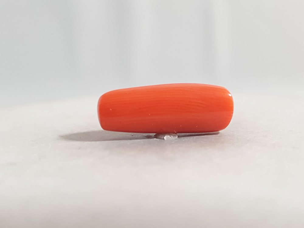 NATURAL CORAL (MUNGA) - 8.11CT